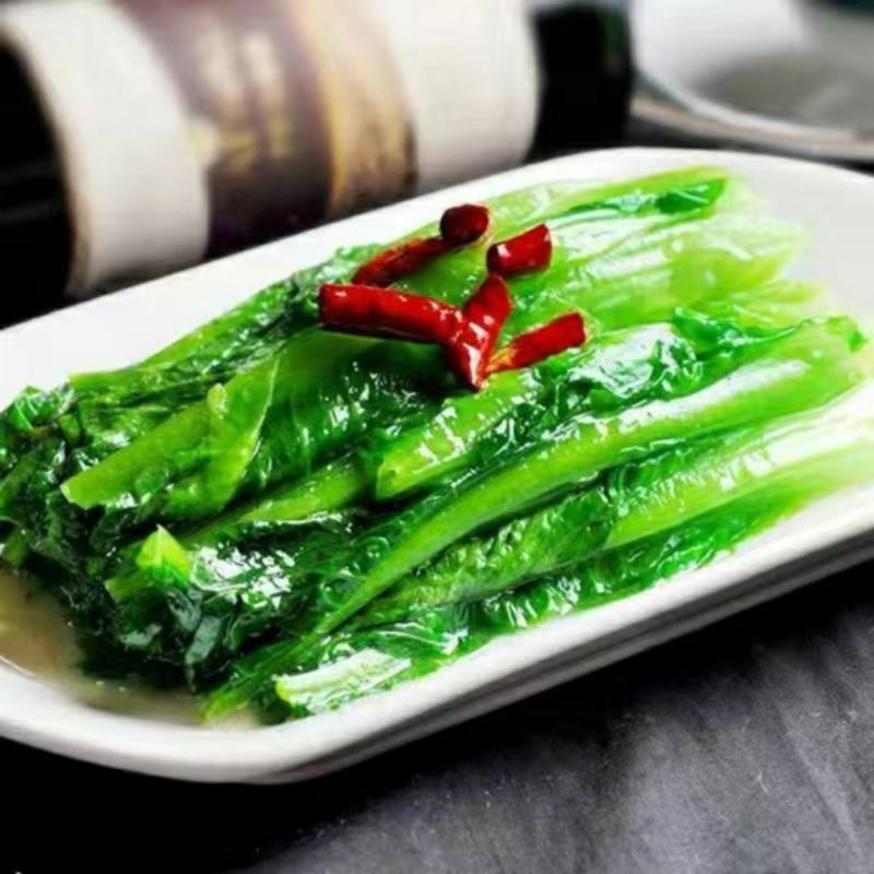 莴笋苗甜脆香油麦菜种子清香无斑油麦菜种子四季播种盆栽