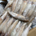 沙丁鱼沙尖鱼沙梭鱼新鲜速冻海鱼烧烤食材金沙丁