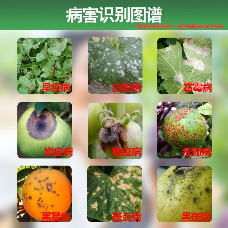 三唑酮小麦水稻玉米果树锈病月季多肉药花卉白粉病杀菌粉锈宁