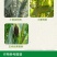 三唑酮小麦水稻玉米果树锈病月季多肉药花卉白粉病杀菌粉锈宁