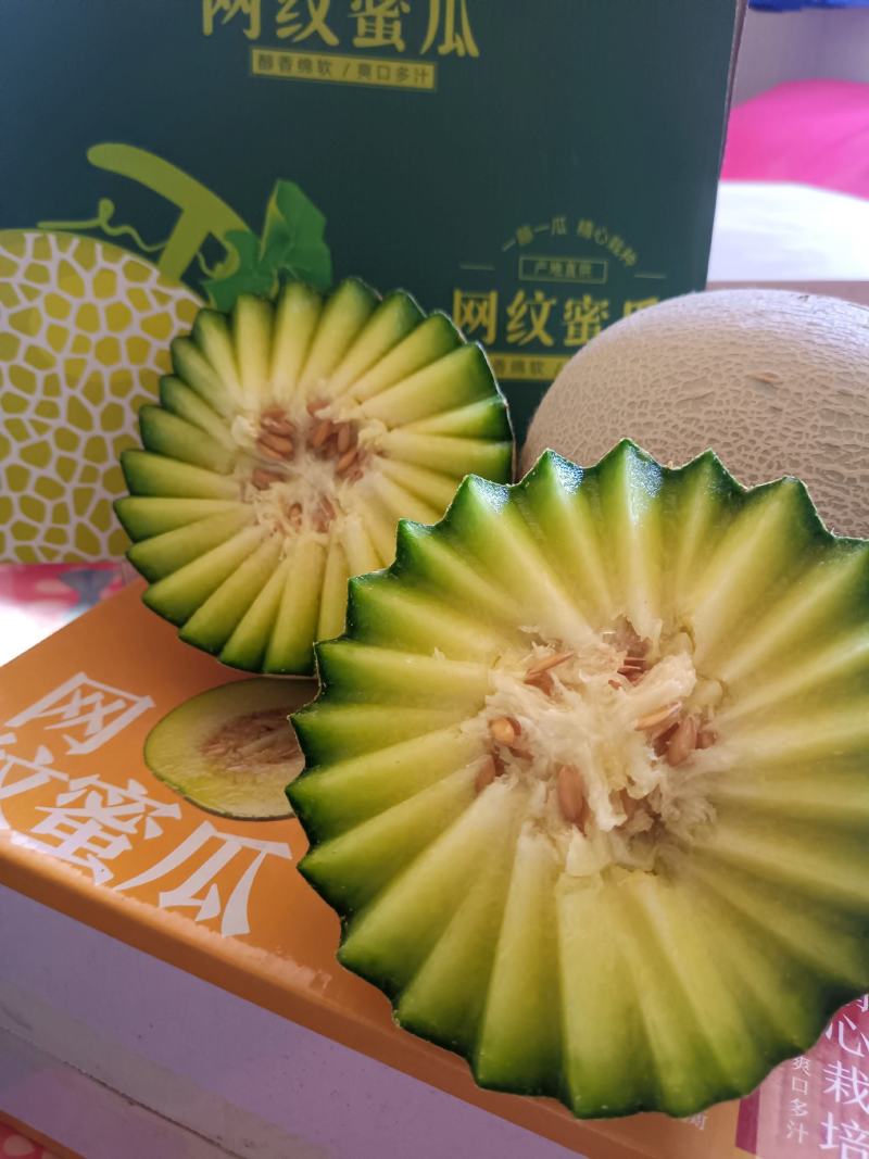 海阳网纹瓜口感好甜度杠杠的，自有基地稳定供应，欢迎选购