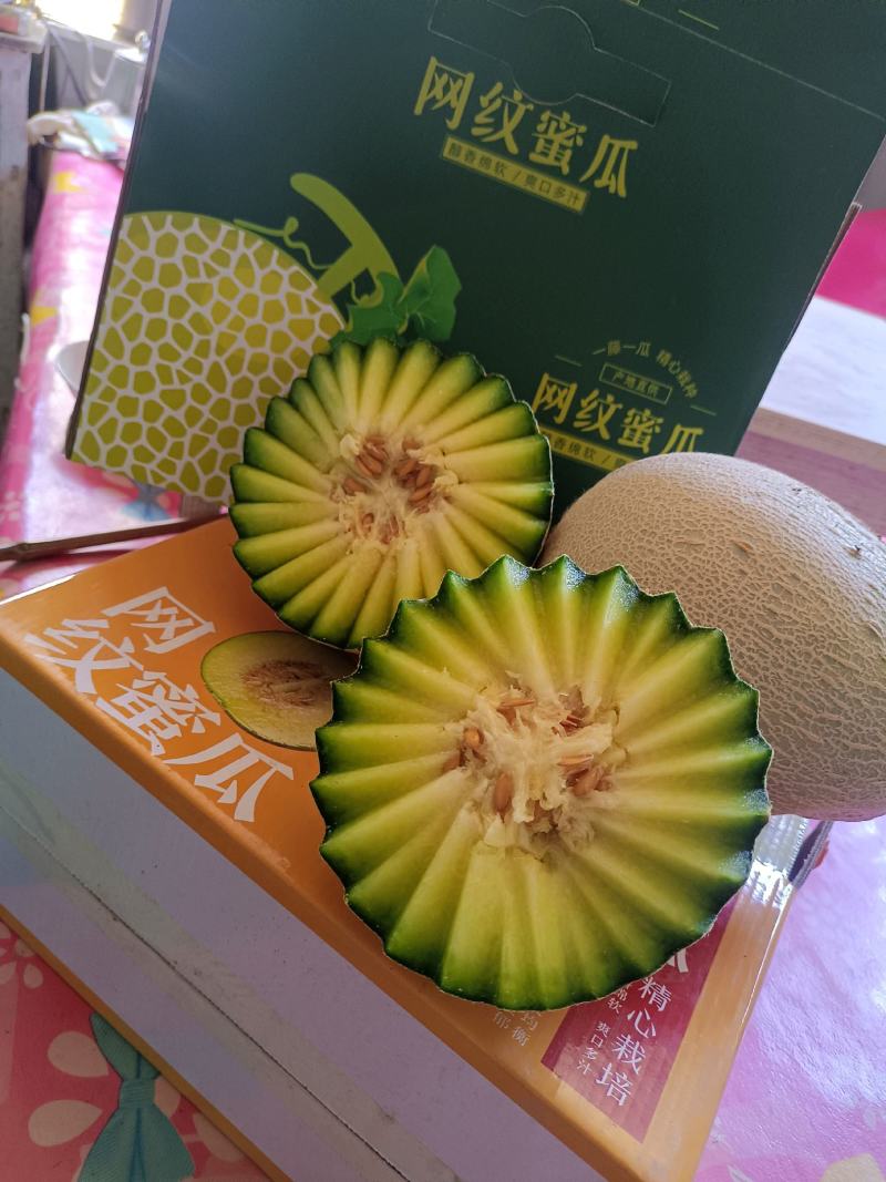 海阳网纹瓜口感好甜度杠杠的，自有基地稳定供应，欢迎选购