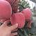 山东红富士苹果产地直发一手货源批发品质保证价格美丽发全国