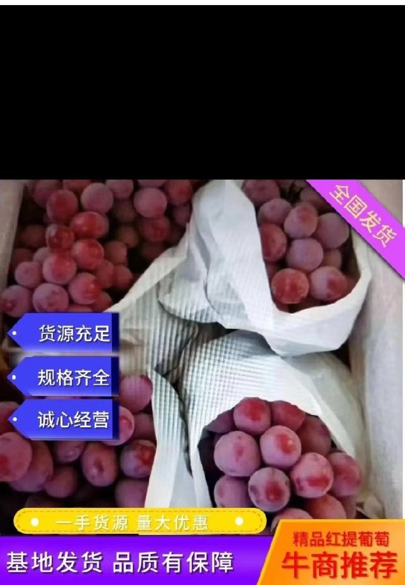 红提子（产地新疆）
