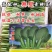 寒星耐寒青梗菜种子越冬耐低温耐抽苔绿梗上海青小油菜种子