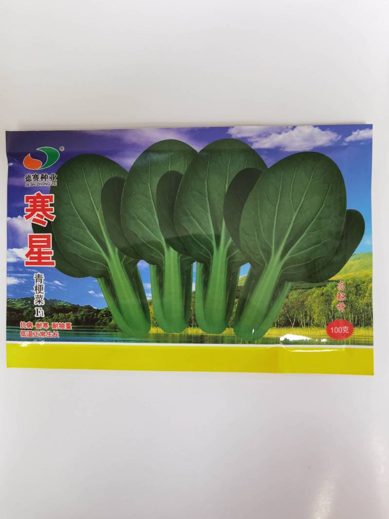 寒星耐寒青梗菜种子越冬耐低温耐抽苔绿梗上海青小油菜种子