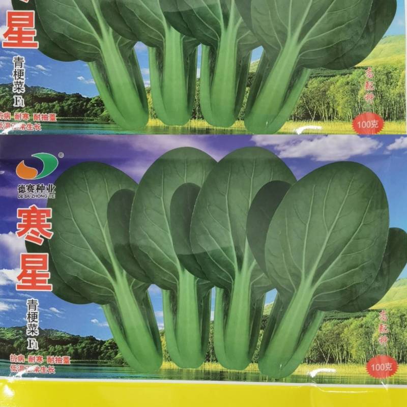 寒星耐寒青梗菜种子越冬耐低温耐抽苔绿梗上海青小油菜种子