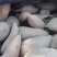 开封红薯龙九蜜薯基地种植户一手货源库存充足量大从优