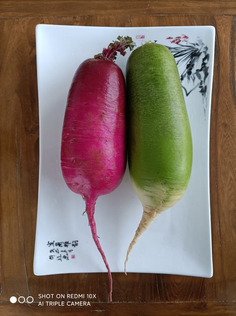 潍坊沙窝紫美人凤梨萝卜大量现货支持电商一件代发批发