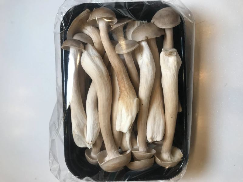 新鲜鹿茸菇鹿茸菌特级鹿茸菇煲汤食材食用菌菇