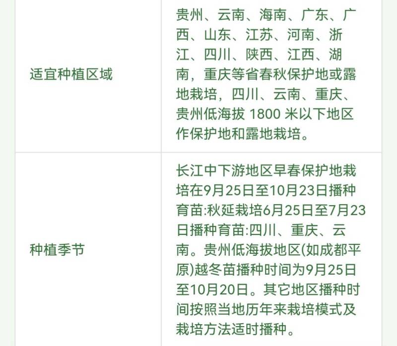 苏润螺丝王螺丝椒辣椒种子早熟厚皮高辣绿皮皱皮高产