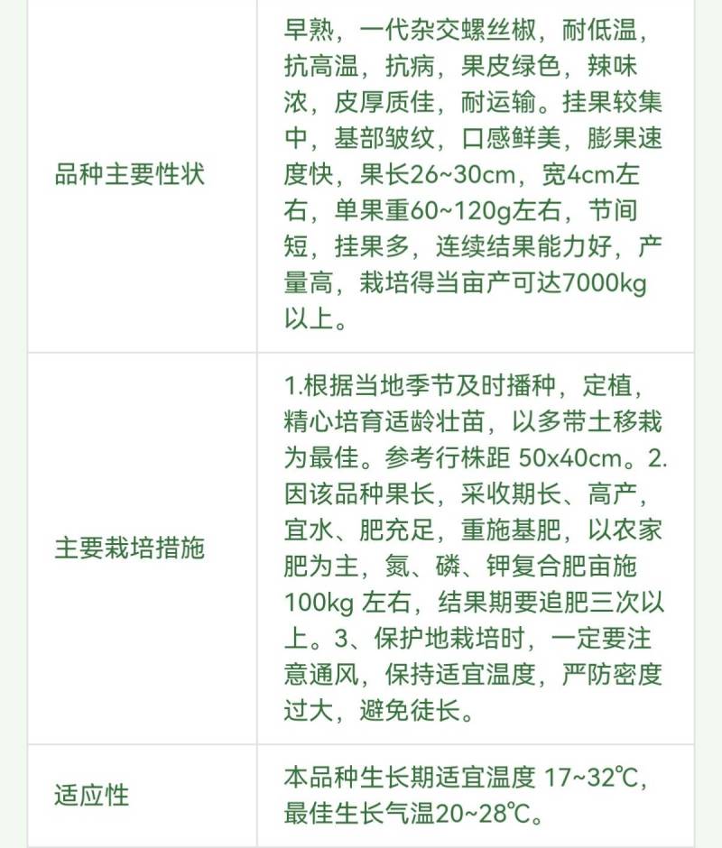 苏润螺丝王螺丝椒辣椒种子早熟厚皮高辣绿皮皱皮高产