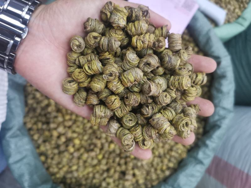 石斛【产地直发】【自有基地】