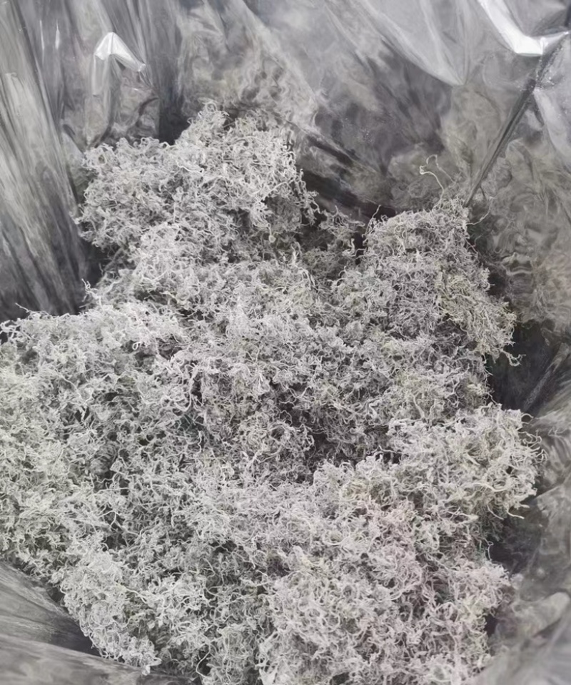 藤茶莓茶货源充足欢迎前来咨询选购