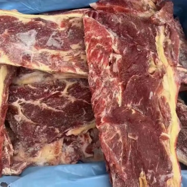 牛羽骨肉含量高价格合适，冷链物流发货快捷方便