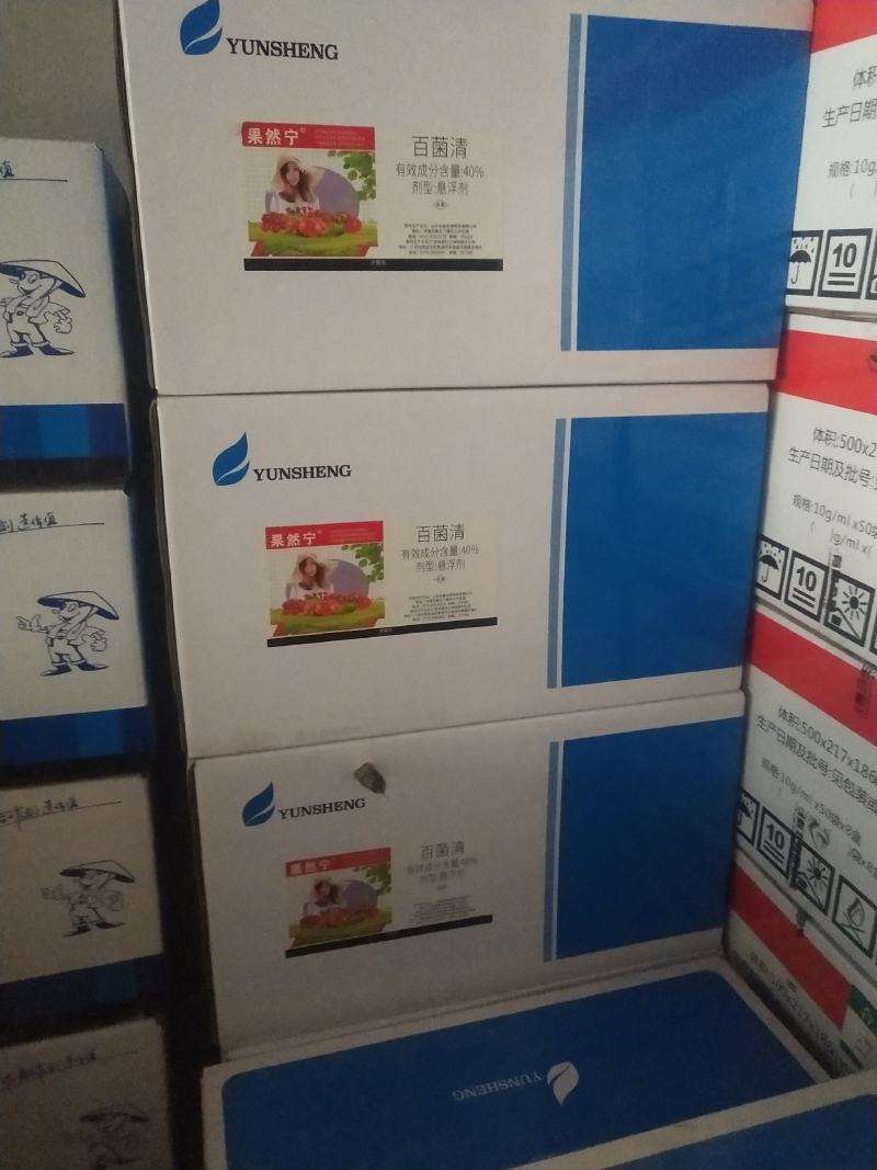 40%百菌清番茄杀菌剂防治早疫病500毫升