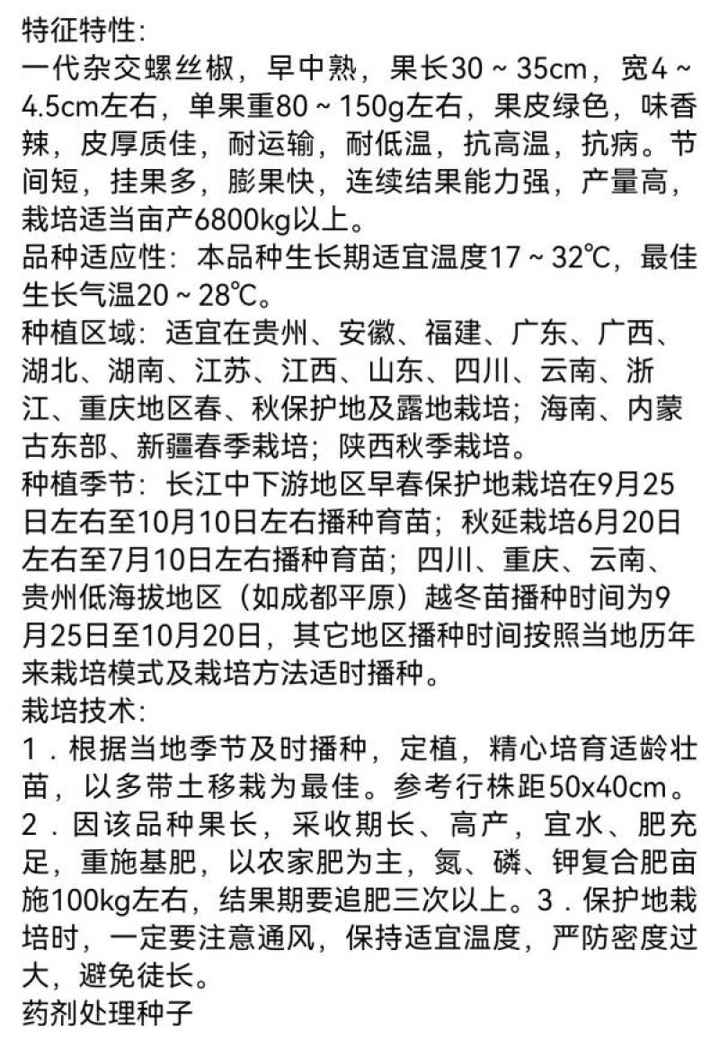 苏润陇椒螺丝椒种子辣椒种籽中早熟高产皱皮特辣厚皮