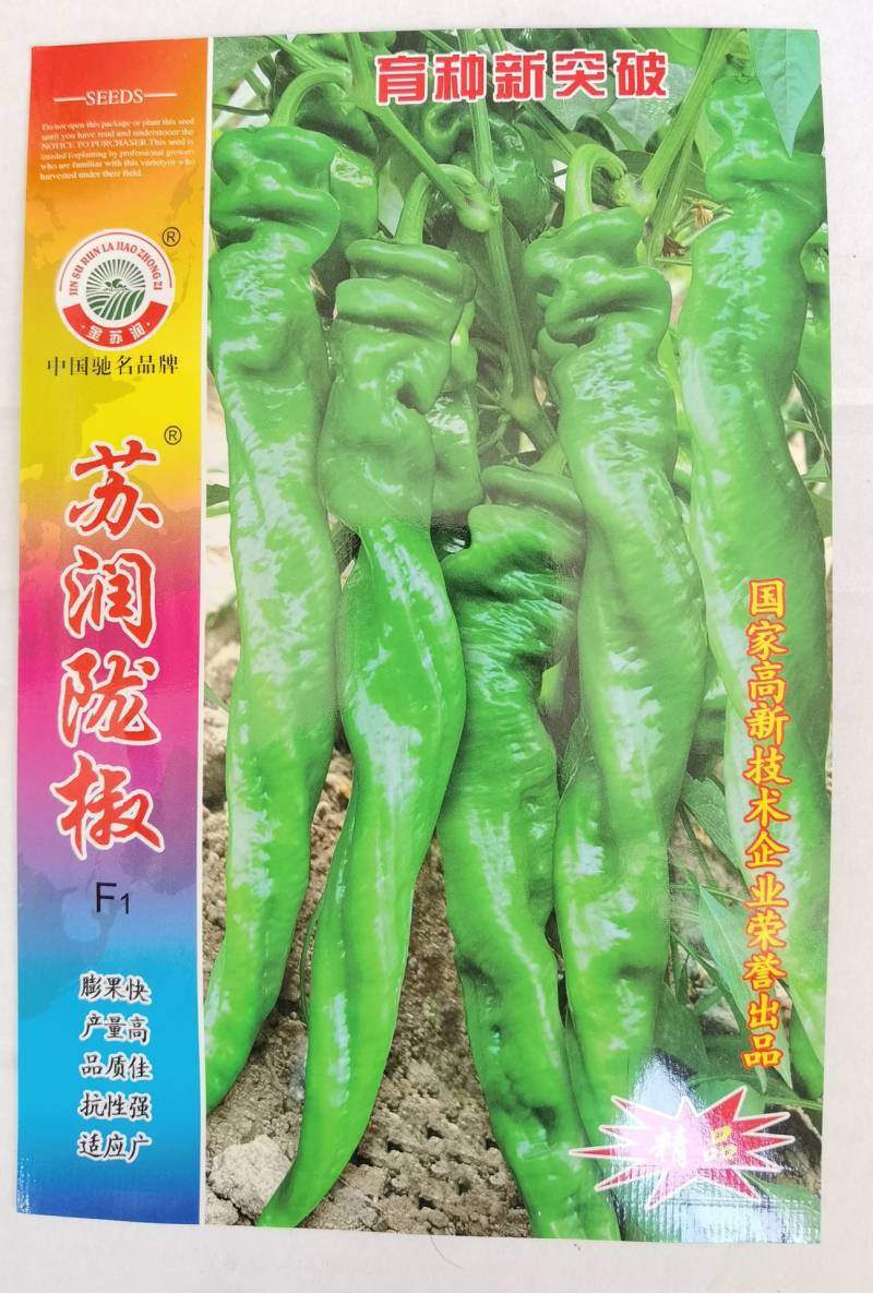 苏润陇椒螺丝椒种子辣椒种籽中早熟高产皱皮特辣厚皮