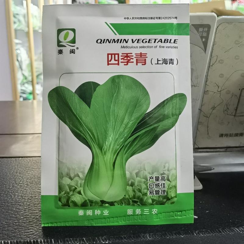 四季青上海青种子四季播高产上海青菜种子农家小油菜籽蔬菜
