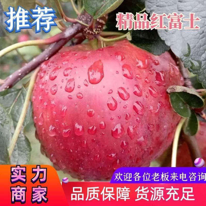 【精选苹果】盐源红富士糖心苹果产地直供一件代发代办