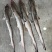 北海小鲨鱼20净重盘冻原条海鲜冻品水产冻品