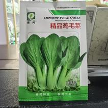 鸡毛菜种子上海青种子四季播高产上海青菜种子农家小油菜籽