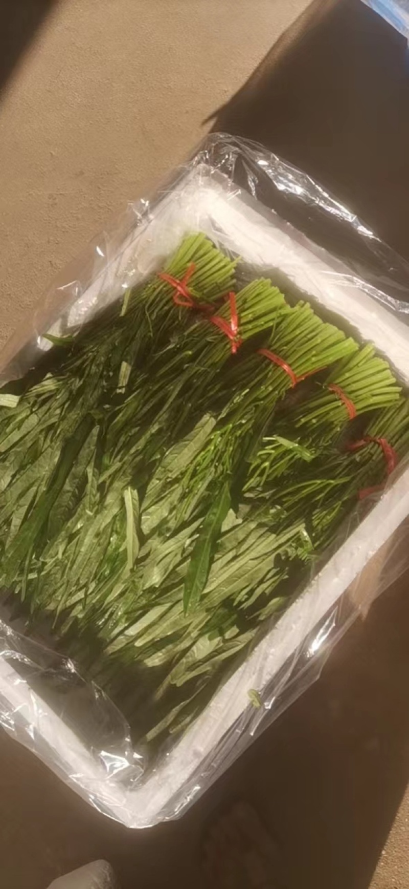 自己基地种植，有需要货的老板请从一亩田联系我有货