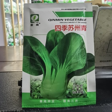 四季苏州青上海青种子