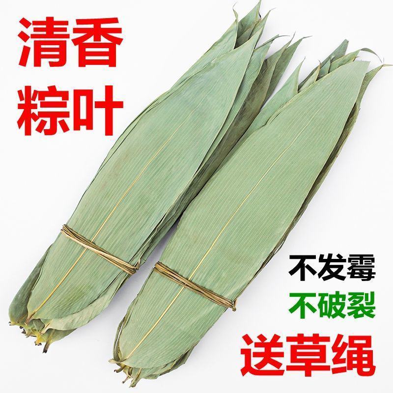 棕叶