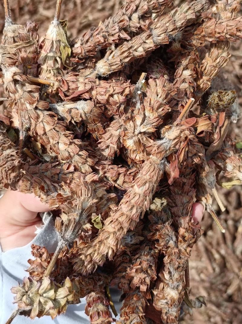 河南驻马店确山新货夏枯球大花，产地直供，量大从优