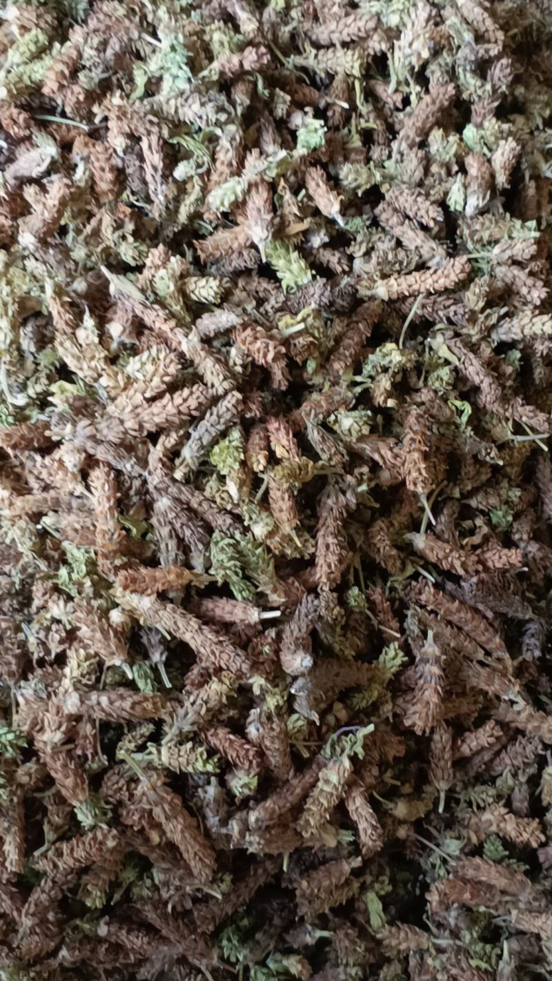 河南驻马店确山新货夏枯球大花，产地直供，量大从优