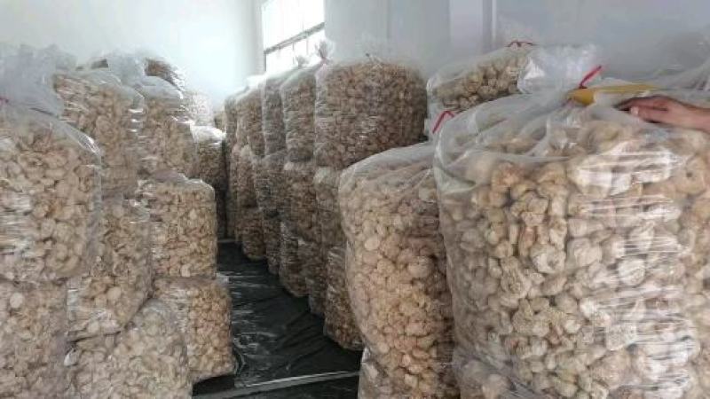 猴头菇统货批发，量大的来，14-20元都有货。