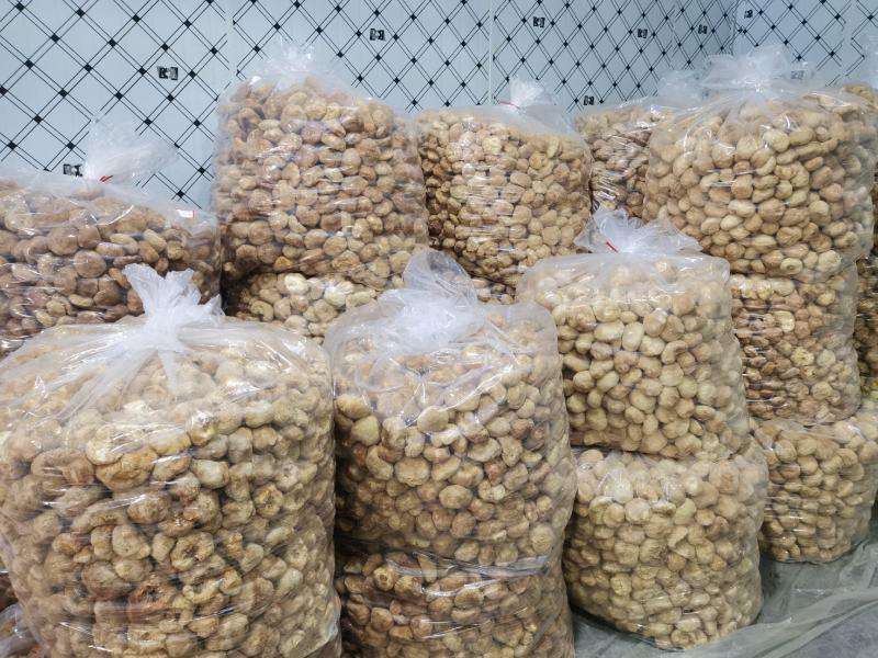 猴头菇统货批发，量大的来，14-20元都有货。