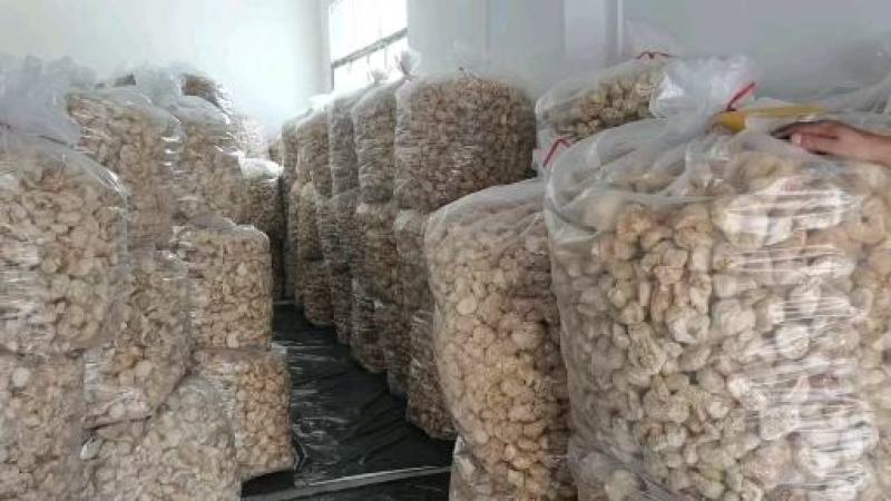 猴头菇统货批发，量大的来，14-20元都有货。