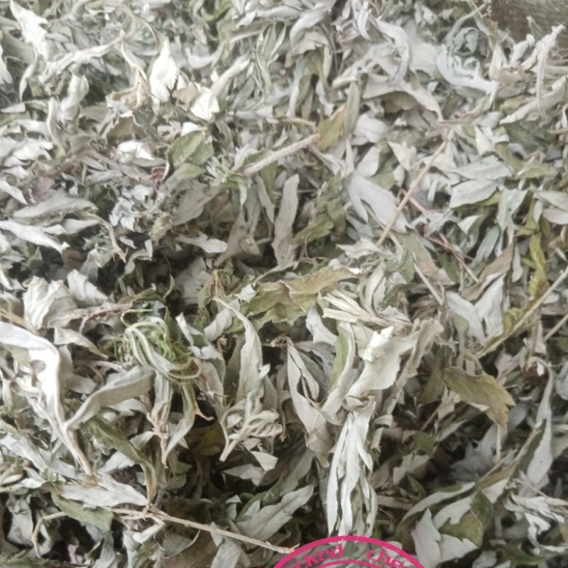大艾叶新货无杂质无枝干干度好
