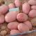 精品红皮土豆：合作88和雪川红。沙土地靓货，质量保证。