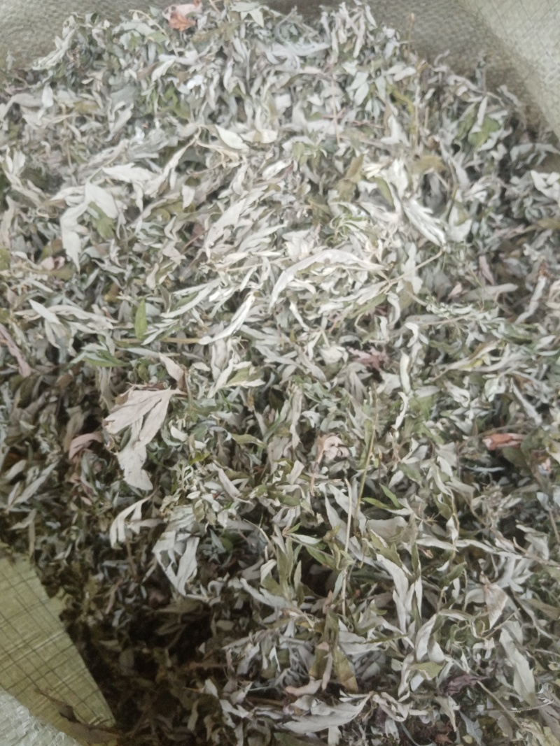 大艾叶新货无杂质无枝干干度好