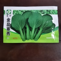 寒秀耐热青梗菜种子小油菜蔬菜南方北方春夏秋天种植青菜种子