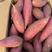 （产地发货）河北烟薯25大量上市保质保量对接批发商电商