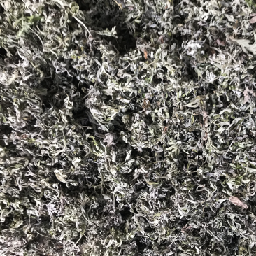高山野生艾叶，干净无杂质，精品货源。