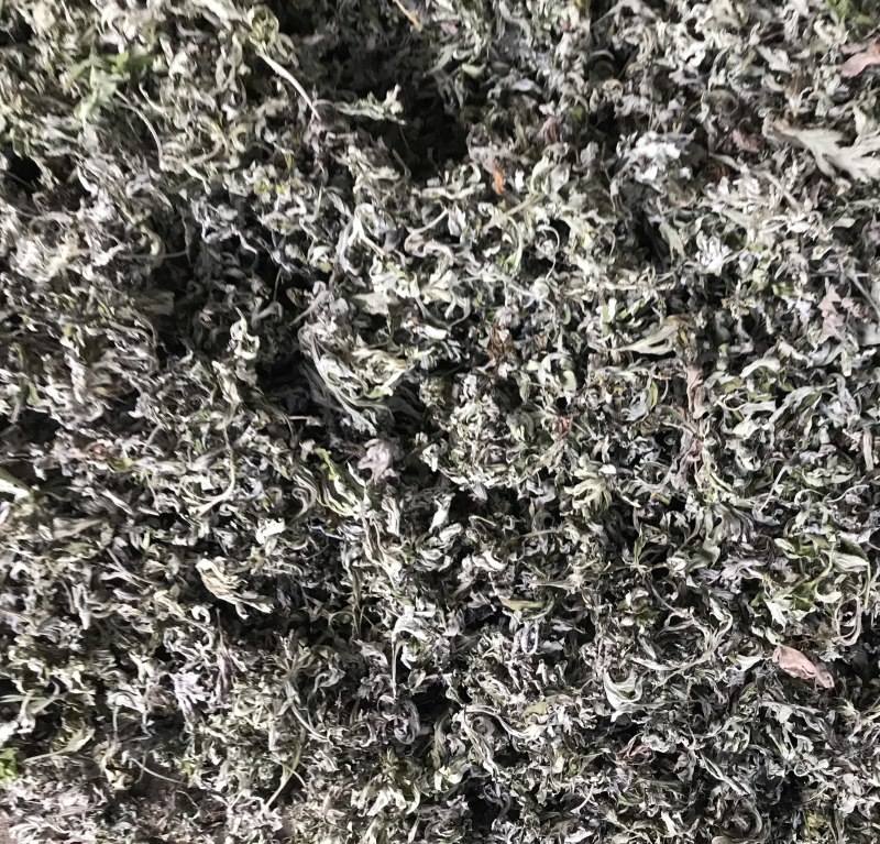 高山野生艾叶，干净无杂质，精品货源。