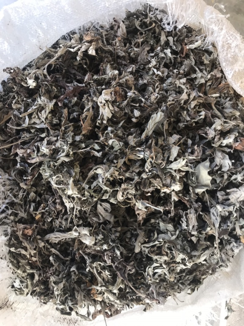 高山野生艾叶，干净无杂质，精品货源。