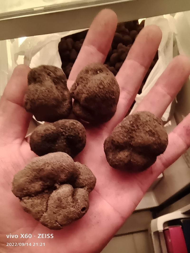 黑松露，都是精品货