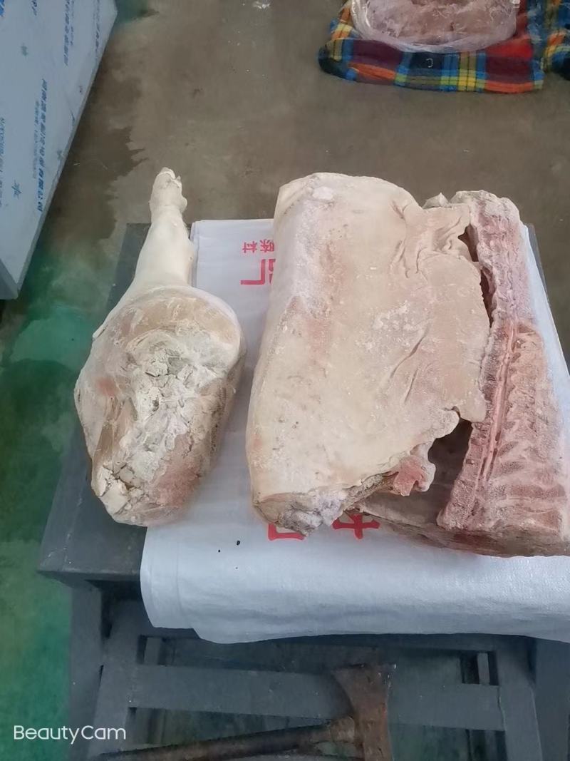 肥猪中段带后腿