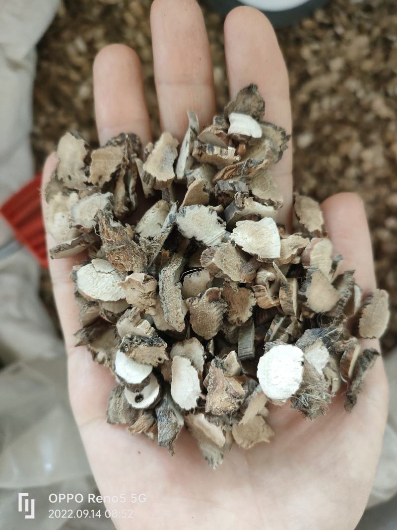 （热销）水菖蒲菖蒲严于品质产地大货支持视频看货祥泰药