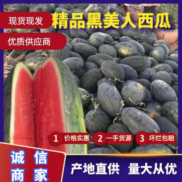 安徽西瓜精品黑美人西瓜大量有货保熟保甜价格平稳质保发货