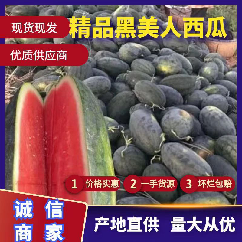 安徽西瓜精品黑美人西瓜大量有货保熟保甜价格平稳质保发货