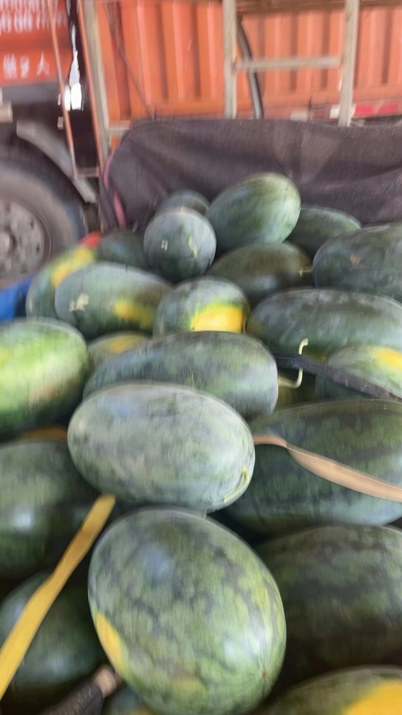 安徽西瓜精品黑美人西瓜大量有货保熟保甜价格平稳质保发货