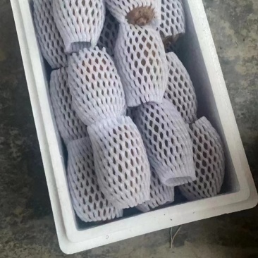 翠香猕猴桃
