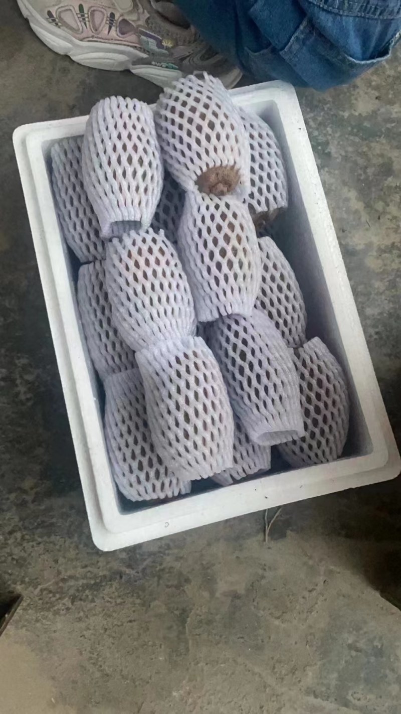 翠香猕猴桃
